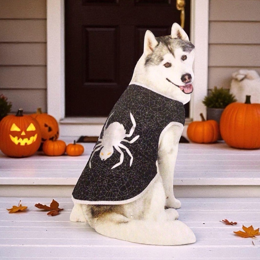 Halloween Costume Spider Black Shirt Size L Large Pet Outfit